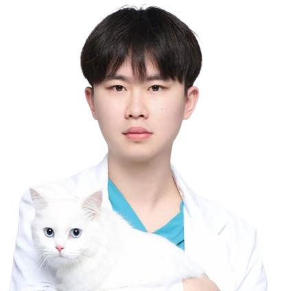 陈琛